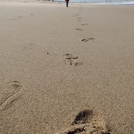 Bica, Luxury Heated Penthouse With Jacuzzi And Large Terrace In Apartament *