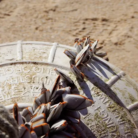 Bica, Luxury Heated Penthouse With Jacuzzi And Large Terrace In Apartament