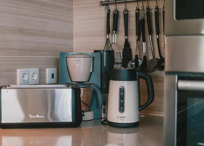 Bica, Luxury Heated Penthouse With Jacuzzi And Large Terrace In Apartament *