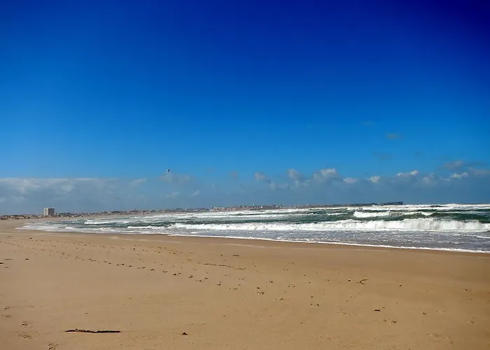 Bica, Luxury Heated Penthouse With Jacuzzi And Large Terrace In Apartament